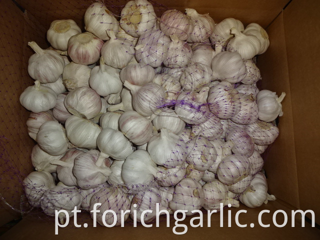 Best Quality Normal White Garlic